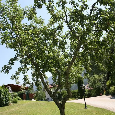 Haus Montana *
