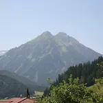 Haus Montana 公寓 *